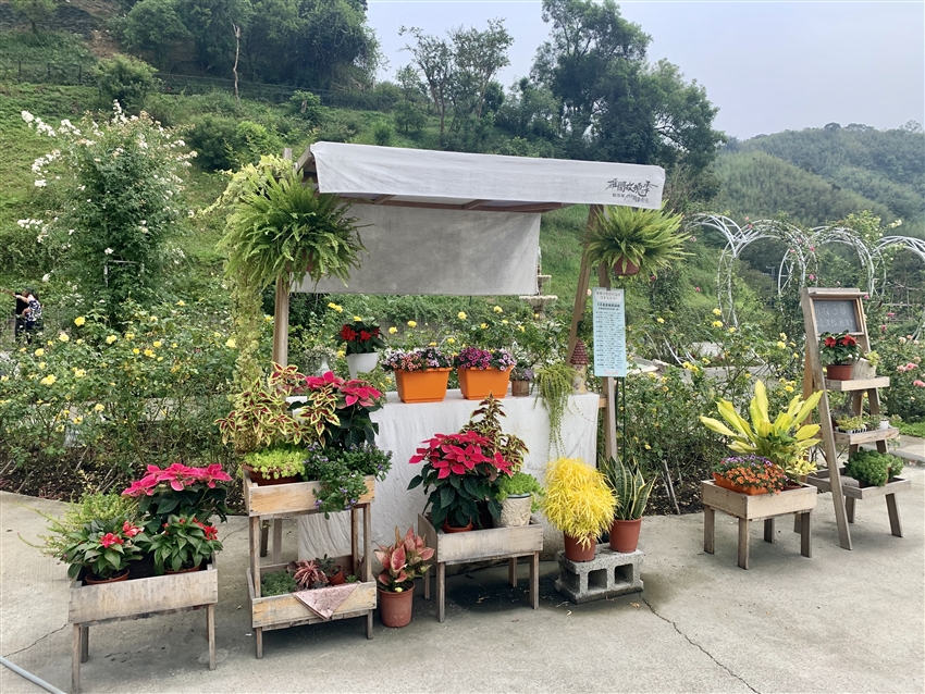 雅聞七里