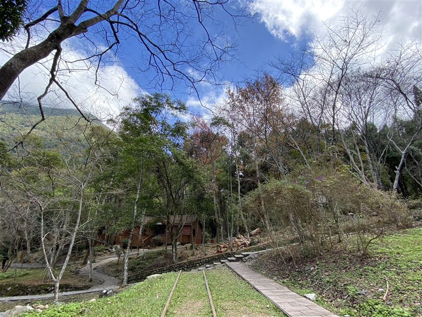 八仙山國家森林遊樂區