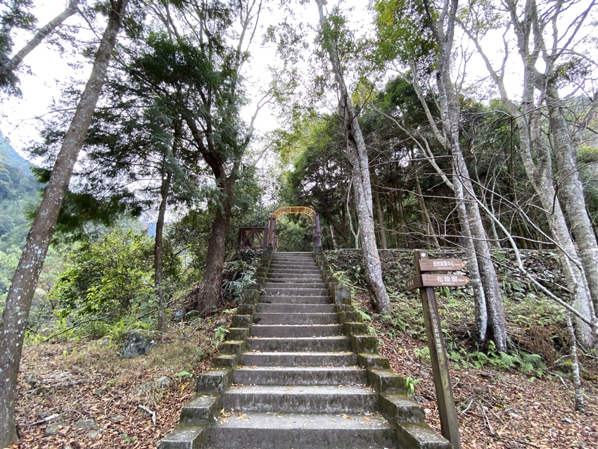 八仙山國家森林遊樂區