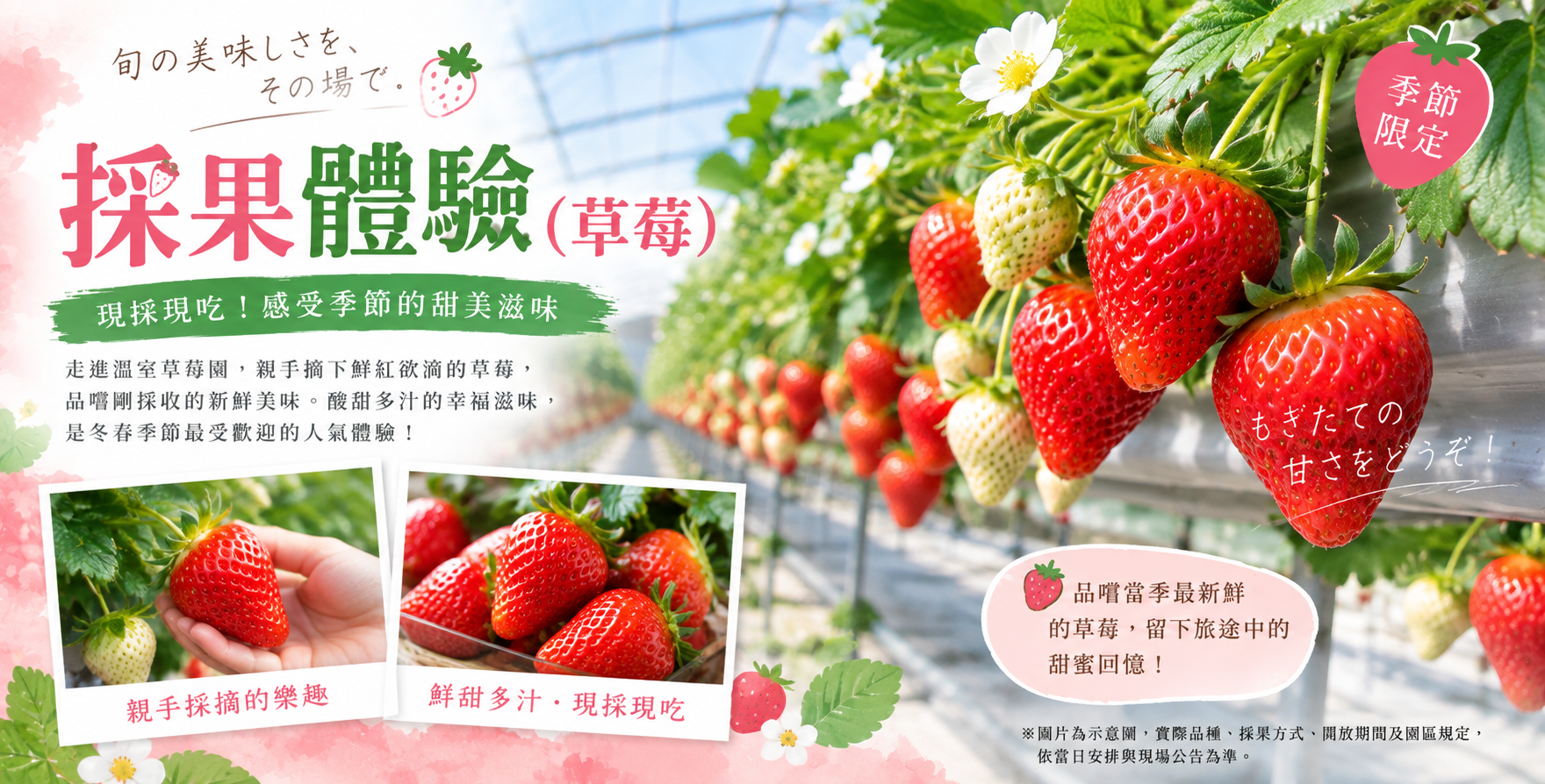 行程特色圖片