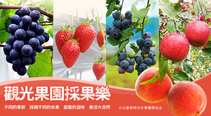 行程特色圖片