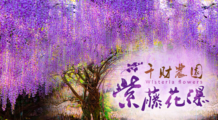 行程特色圖片