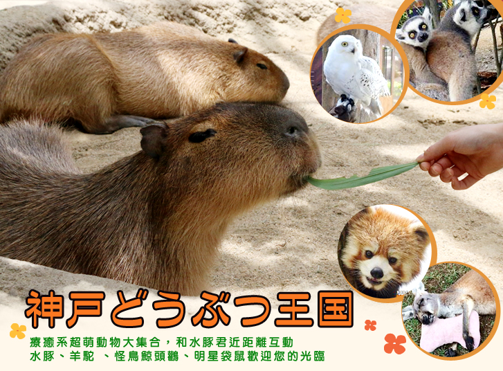 行程特色圖片
