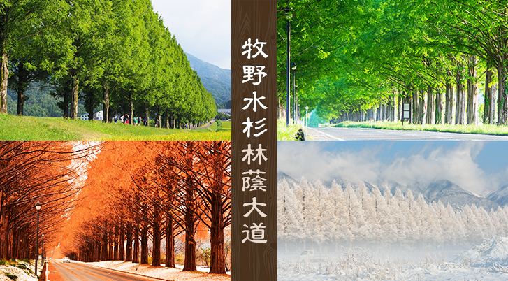 行程特色圖片
