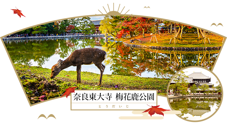 行程特色圖片