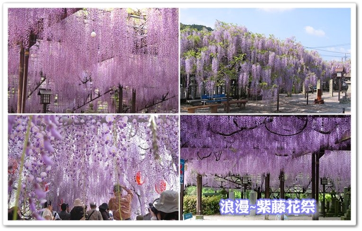 行程特色圖片