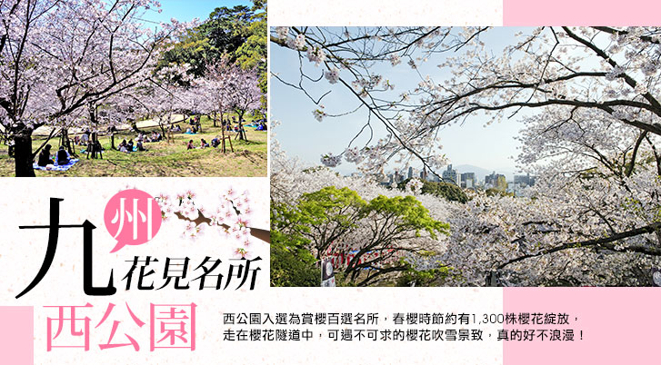 行程特色圖片